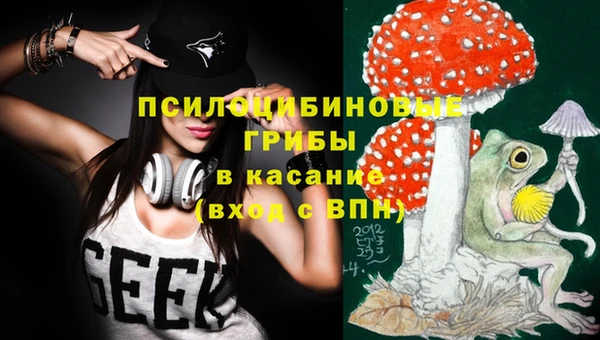 гидропоника Липки