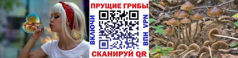 Псилоцибиновые грибы GOLDEN TEACHER  мега ссылки  Нижнеудинск 