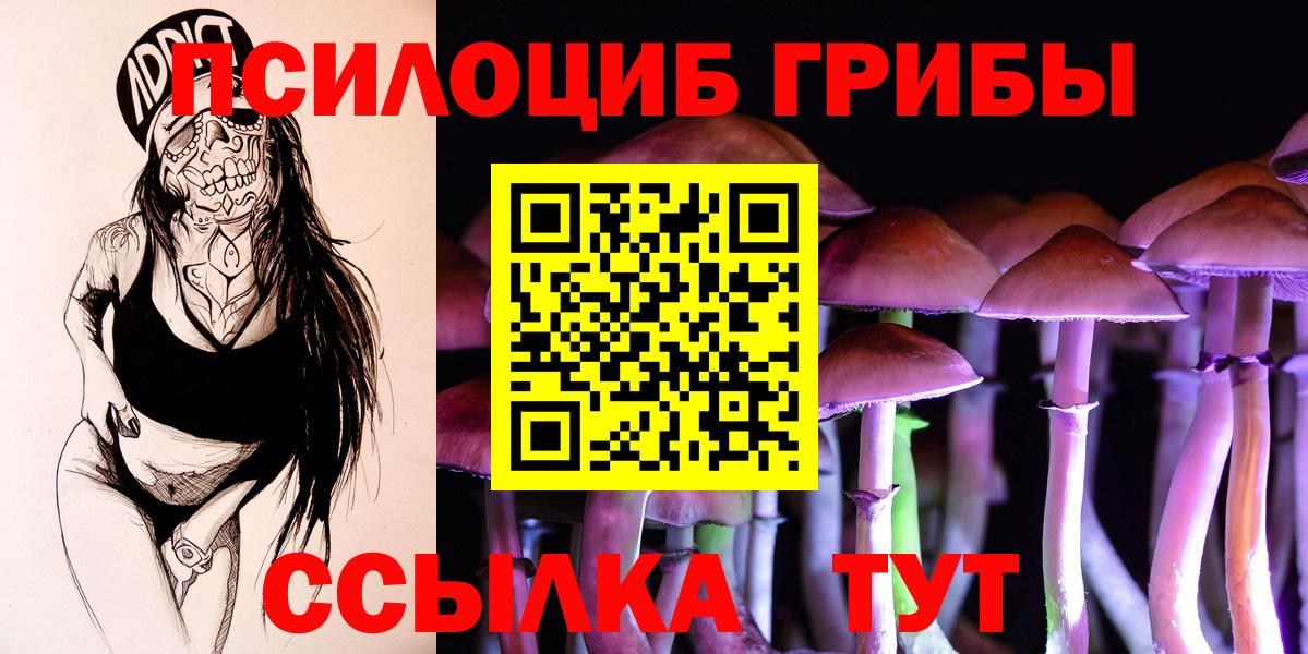 Псилоцибиновые грибы прущие грибы Нижнеудинск