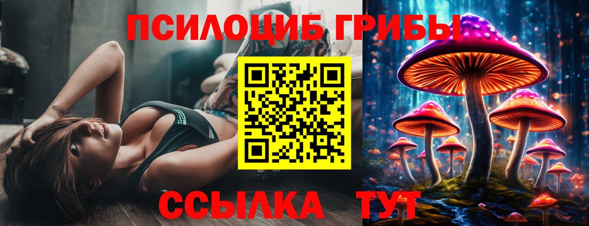 Нижнеудинск  Галлюциногенные грибы прущие грибы  Вход с VPN 