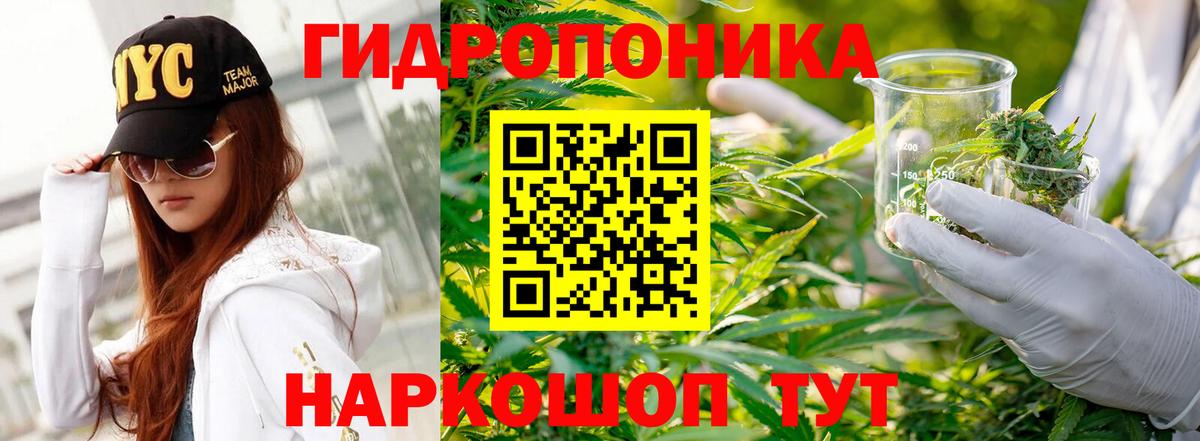 Каннабис семена Нижнеудинск